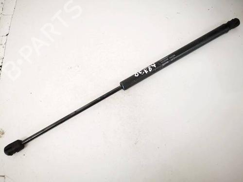 tailgate-lift-support-peugeot-4007-vu_-vv_-2007-2008-2009-2010-2011-2012-2013-35377355 main image