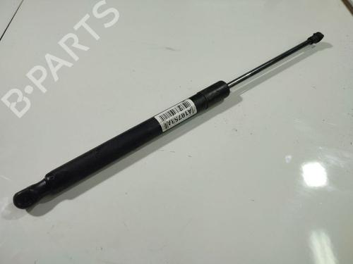 Amortecedor do capot Amortecedor do capot SEAT TOLEDO III (5P2) 2.0 TDI (140 hp) 34920278 34920278