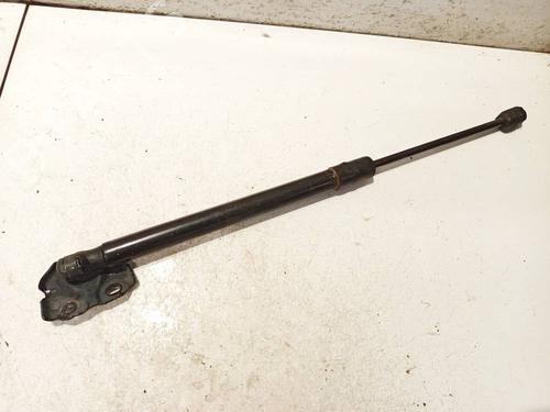 tailgate-lift-support-renault-megane-iii-hatchback-bz01_-b3_-2008-34929489 main image
