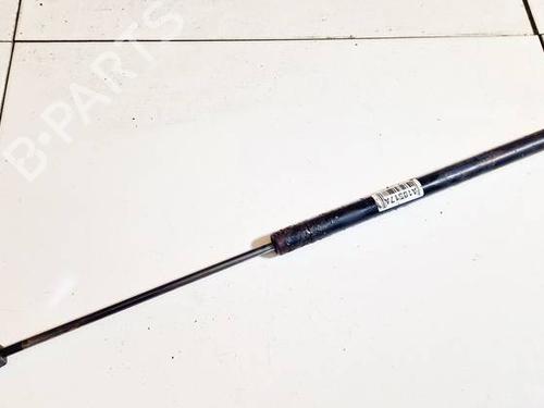 tailgate-lift-support-ford-s-max-wa6-2006-2007-2008-2009-2010-2011-2012-2013-2014-34981623 main image