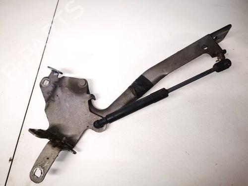 Used Hinge/Door check strap Hinge/Door check strap RENAULT GRAND SCÉNIC II (JM0/1_) 1.9 dCi (JM15) (110 hp) 35328481 35328481