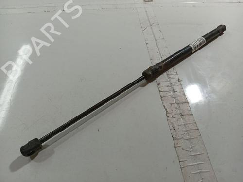 tailgate-lift-support-dacia-sandero-2008-34827388 main image