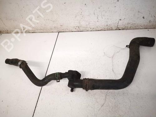 Termostathus Termostathus RENAULT CLIO III (BR0/1, CR0/1) 1.2 16V (78 hp) 36960012 36960012