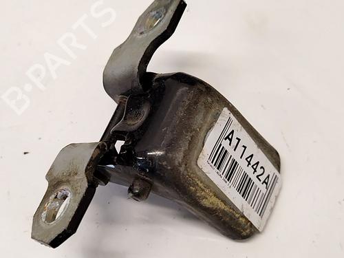 Used Hinge/Door check strap Hinge/Door check strap RENAULT LAGUNA III (BT0/1) 2.0 dCi (BT07, BT0J, BT14, BT1A, BT1S) (131 hp) 36524844 36524844