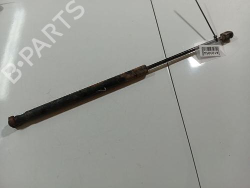 tailgate-lift-support-opel-signum-hatchback-z03-2003-2004-2005-2006-2007-2008-34899658 main image