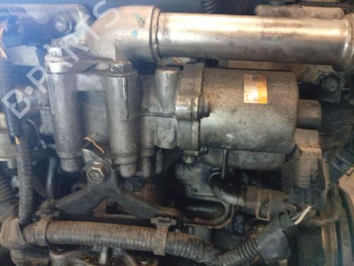 Used Egr Egr 36895696 36895696