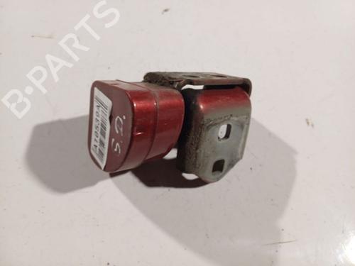 hingedoor-check-strap-renault-scenic-ii-jm01_-2003-2004-2005-2006-2007-2008-2009-2010-32565869 main image