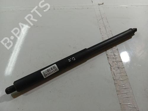 tailgate-lift-support-bmw-x5-e70-2006-2007-2008-2009-2010-2011-2012-2013-34824974 main image