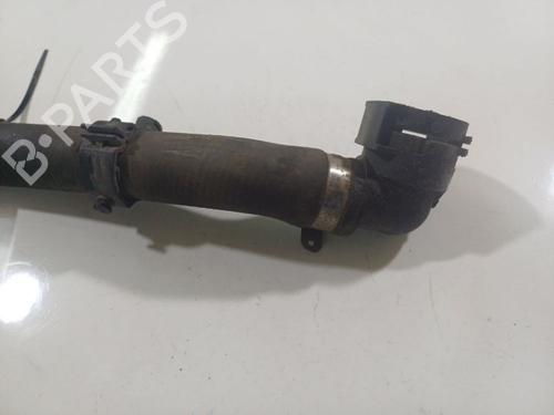 Pipe FIAT DOBLO Cargo (263_) 2.0 D Multijet | BP32546695M125