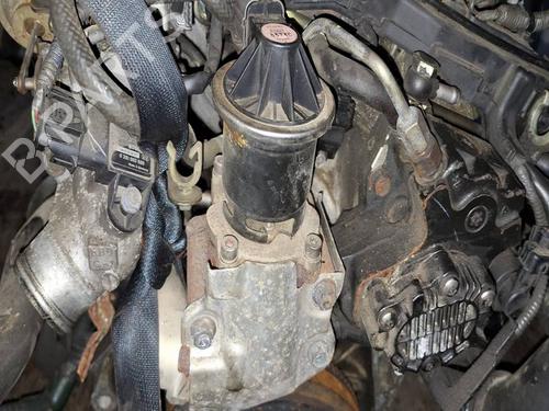 Used Egr Egr 34766684 34766684