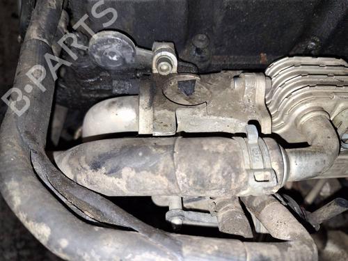 Used Egr Egr AUDI A3 (8P1) 2.0 TDI (136 hp) 35155929 35155929