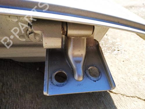 hingedoor-check-strap-fiat-idea-350_-2003-32880534 main image