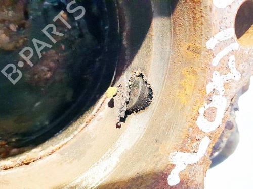 Electronic module KIA CEE'D Hatchback (ED) 1.6 CRDi 115 | BP39160127M83 - Image 2