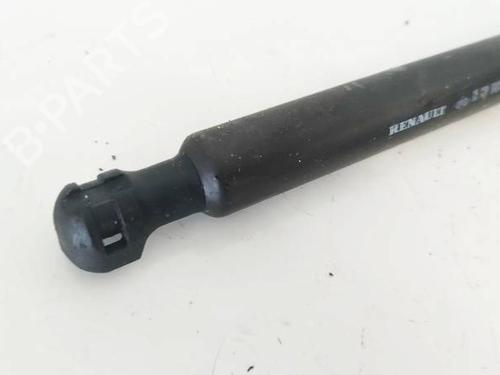 Tailgate lift support DACIA SANDERO II 1.5 dCi | BP37433595C138 - Image 3
