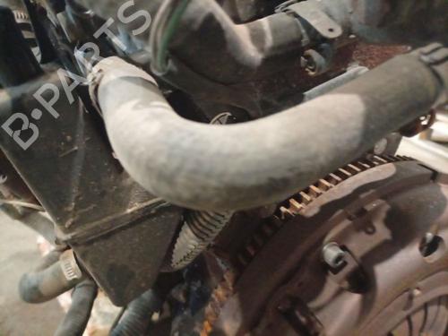 Pipe OPEL MOVANO A Bus (X70) 2.5 D (JD) | BP36174205M125 - Image 3
