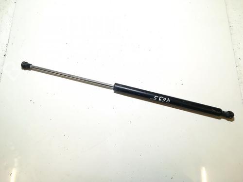 tailgate-lift-support-renault-laguna-ii-bg01_-2001-2002-2003-2004-2005-2006-2007-35851172 main image
