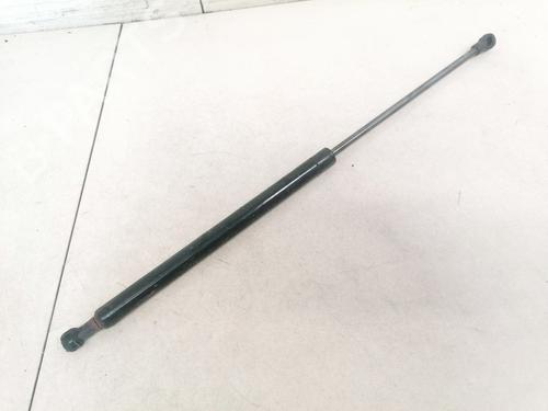 tailgate-lift-support-fiat-panda-169_-2003-35488419 main image