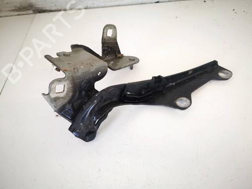 Used Hinge/Door check strap Hinge/Door check strap RENAULT LAGUNA III (BT0/1) 2.0 dCi (BT01, BT08, BT09, BT0E, BT0K, BT12, BT1C, BT1D,... (150 hp) 35210118 35210118