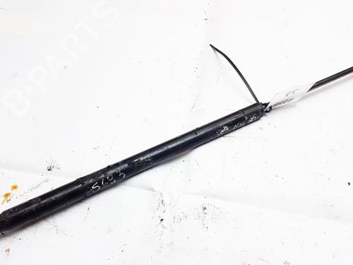tailgate-lift-support-renault-scenic-ii-jm01_-2003-2004-2005-2006-2007-2008-2009-2010-35881876 main image