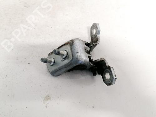 hingedoor-check-strap-renault-laguna-ii-bg01_-2001-2002-2003-2004-2005-2006-2007-33085709 main image