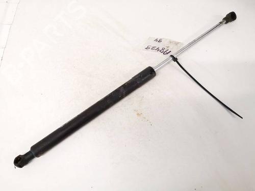 tailgate-lift-support-renault-clio-iii-br01-cr01-2005-2006-2007-2008-2009-2010-2011-2012-2013-2014-35387440 main image