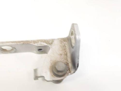 hingedoor-check-strap-ford-focus-iii-2010-2011-2012-2013-2014-2015-2016-2017-2018-2019-2020-32934462 main image