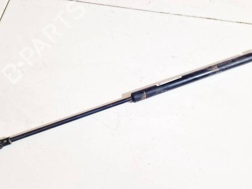 tailgate-lift-support-seat-leon-1p1-2005-2006-2007-2008-2009-2010-2011-2012-2013-34970202 main image