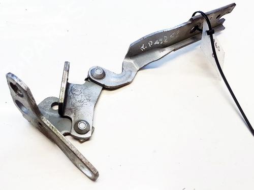 hingedoor-check-strap-citroen-c5-i-dc_-2001-2002-2003-2004-2005-35883456 main image