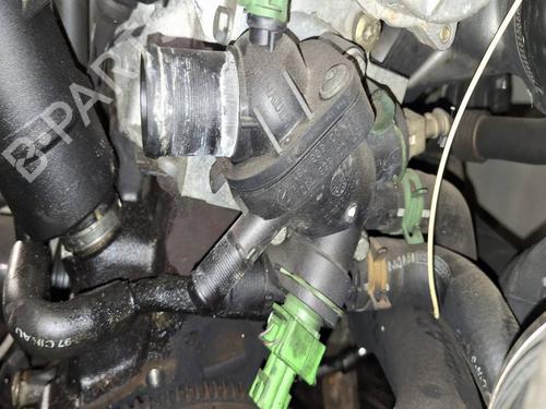 Termostathus Termostathus RENAULT MEGANE I (BA0/1_) 1.9 dTi (BA08, BA0N) (98 hp) 39735200 39735200