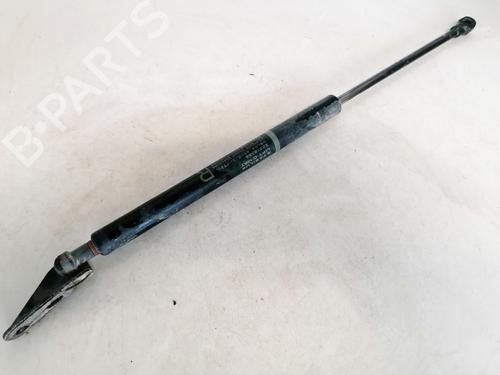 tailgate-lift-support-toyota-corolla-saloon-_e12_-2000-2001-2002-2003-2004-2005-2006-2007-2008-35513947 main image