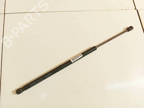 tailgate-lift-support-renault-scenic-ii-jm01_-2003-2004-2005-2006-2007-2008-2009-2010-34950069 main image