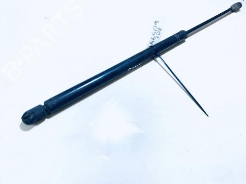 tailgate-lift-support-opel-zafira-a-mpv-t98-1999-2000-2001-2002-2003-2004-2005-2006-35593378 main image