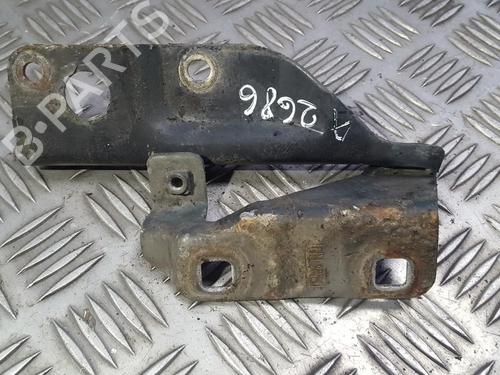 hingedoor-check-strap-nissan-almera-ii-hatchback-n16-2000-35681164 main image