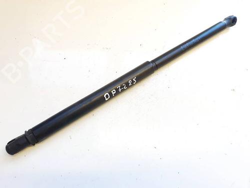 tailgate-lift-support-citroen-c2-jm_-2003-2004-2005-2006-2007-2008-2009-2010-2011-2012-2013-2014-2015-2016-2017-35220406 main image