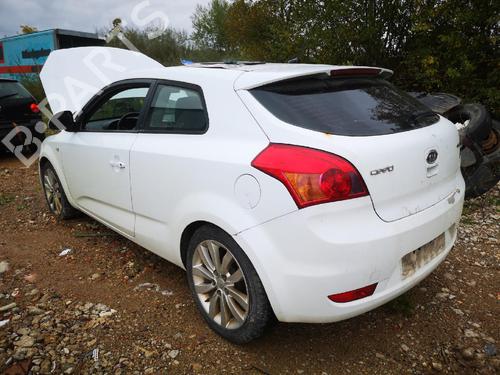 Support KIA CEE'D Hatchback (ED) 1.6 CRDi 90 | BP32566229C155 