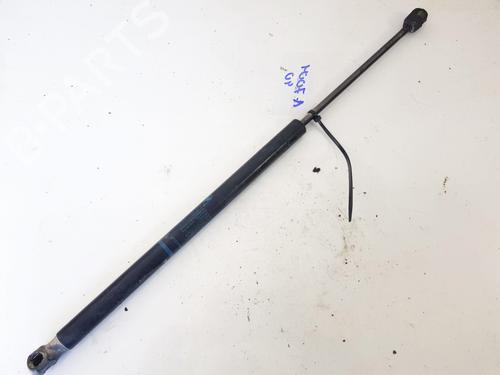 tailgate-lift-support-renault-scenic-ii-jm01_-2003-2004-2005-2006-2007-2008-2009-2010-35533700 main image