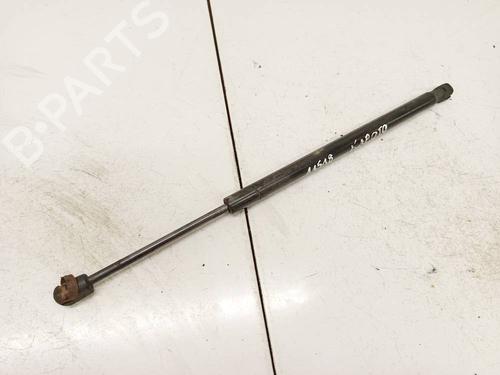 Ammortizzatore cofano anteriore Ammortizzatore cofano anteriore 39181610 39181610