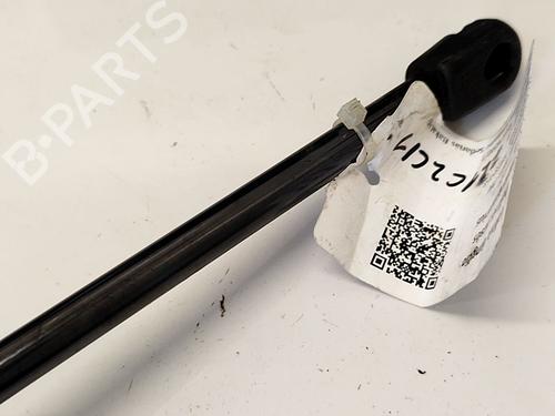Tailgate lift support TESLA MODEL 3 (5YJ3) EV AWD | BP36102212C138 - Image 3