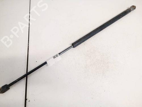 tailgate-lift-support-ford-focus-c-max-dm2-2003-2004-2005-2006-2007-35091630 main image