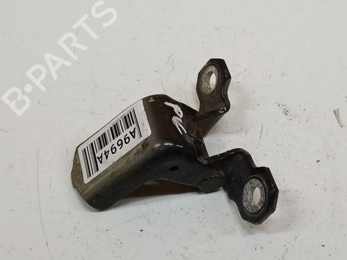 Used Hinge/Door check strap Hinge/Door check strap RENAULT LAGUNA III (BT0/1) 2.0 dCi (BT07, BT0J, BT14, BT1A, BT1S) (131 hp) 38798369 38798369