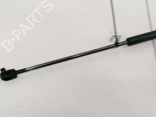 Tailgate lift support FORD C-MAX (DM2) 1.8 | BP35571322C138 - Image 2