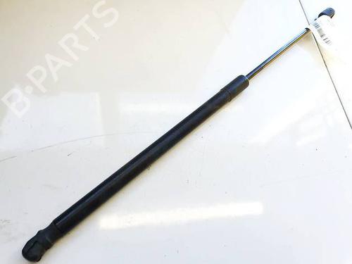 tailgate-lift-support-peugeot-boxer-van-2006-34750848 main image