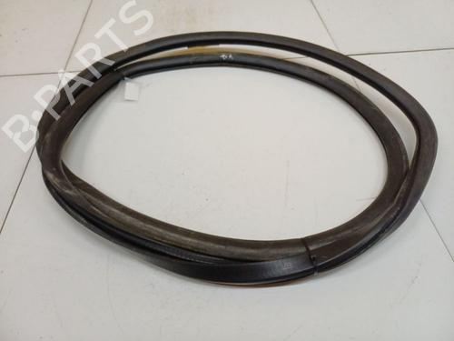 Gummiliste Gummiliste VW PHAETON (3D1, 3D2, 3D3, 3D4, 3D6, 3D7, 3D8, 3D9) 3.0 V6 TDI 4motion (224 hp) 39701312 39701312