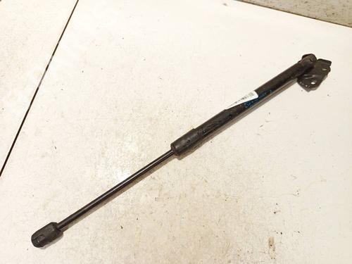 tailgate-lift-support-renault-megane-iii-hatchback-bz01_-b3_-2008-34929481 main image
