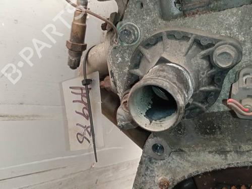Termostathus Termostathus 35071813 35071813