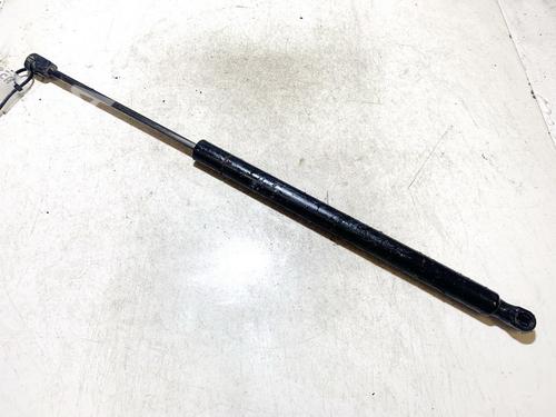 tailgate-lift-support-renault-scenic-ii-jm01_-2003-2004-2005-2006-2007-2008-2009-2010-35873810 main image