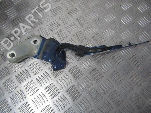 hingedoor-check-strap-renault-clio-iii-br01-cr01-2005-2006-2007-2008-2009-2010-2011-2012-2013-2014-35678837 main image