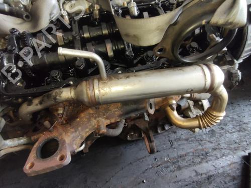 Used Egr Egr 35543330 35543330