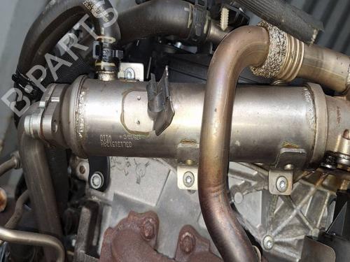 Used Egr Egr 38479290 38479290