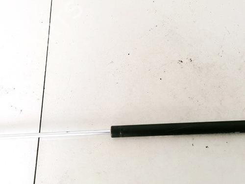 tailgate-lift-support-renault-laguna-ii-bg01_-2001-2002-2003-2004-2005-2006-2007-35602052 main image